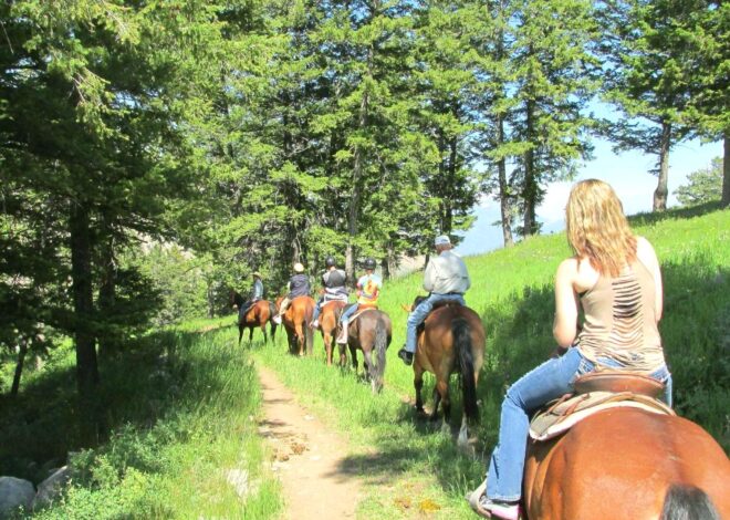 Enjoy a Horseback Ride Through the Park: Discover the park on horseback