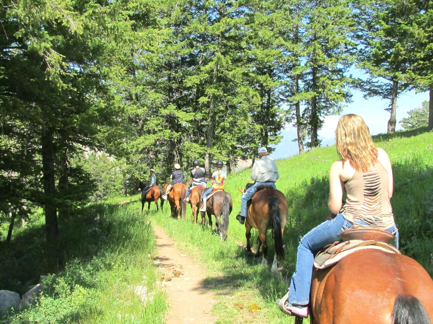 Enjoy a Horseback Ride Through the Park: Discover the park on horseback