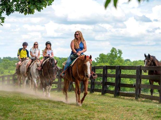 Discover the Park with a Relaxing Horseback Ride