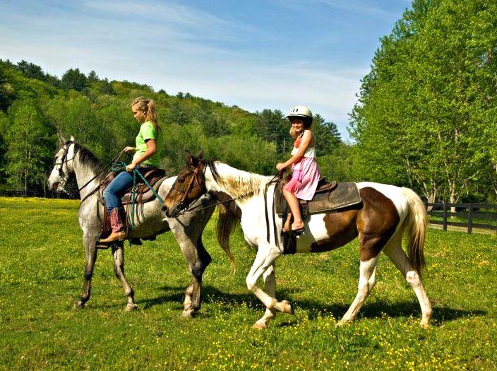 Uncover Park Trails: Horseback Adventures Await