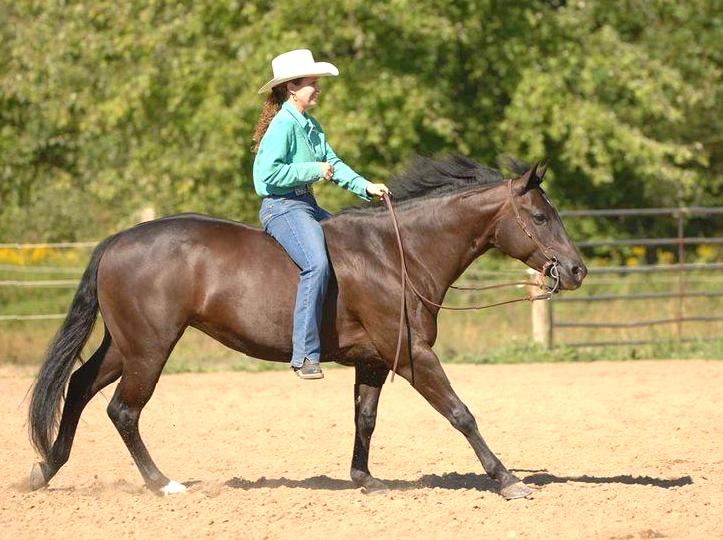 Journey Through the Park: Ride on Horseback for Adventure