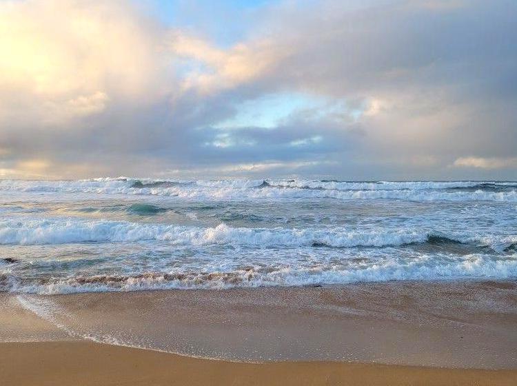 Remote Coastal Spot Near Anglesea: Shelly Beach